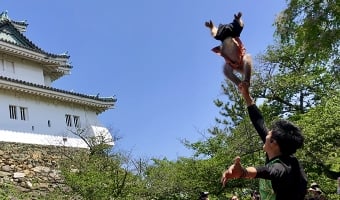 メディア出演実績